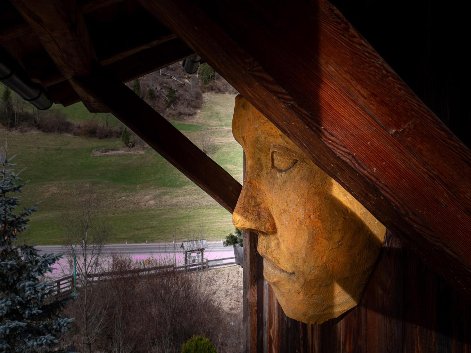 Alpine Mountain Appart hôtel San Vigilio