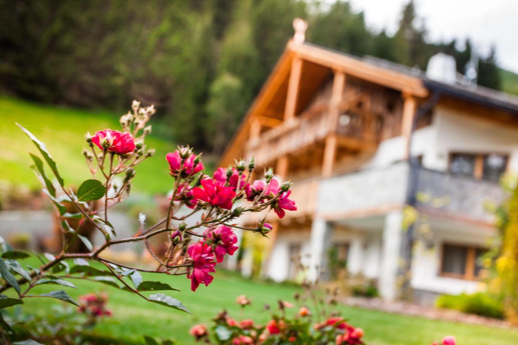 Alpine Mountain Appart hôtel 4*